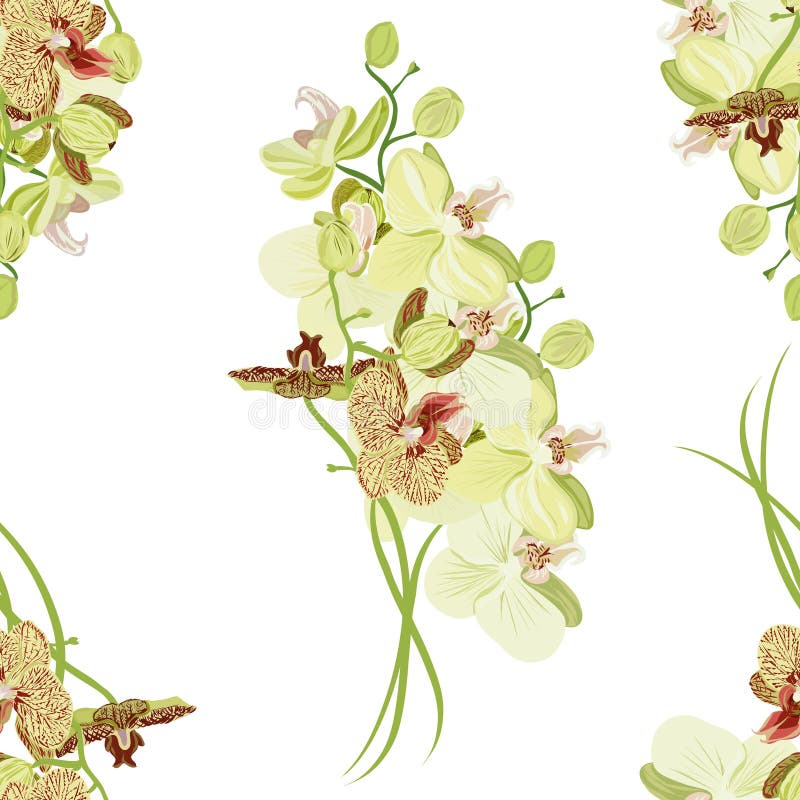 Sömlös modell för grön orkidé stock illustrationer Sömlös modell för grön orkidé stock illustrationer