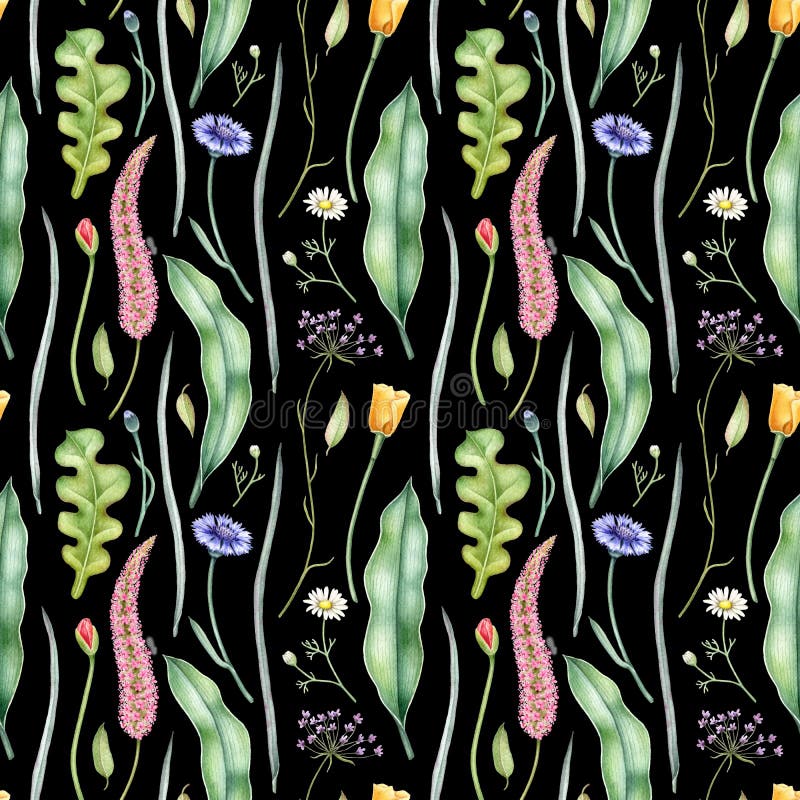 Sömlös modell med blommor och örter på mörk bakgrund Hand dragen vattenfärgillustration vektor illustrationer Sömlös modell med blommor och örter på mörk bakgrund Hand dragen vattenfärgillustration vektor illustrationer