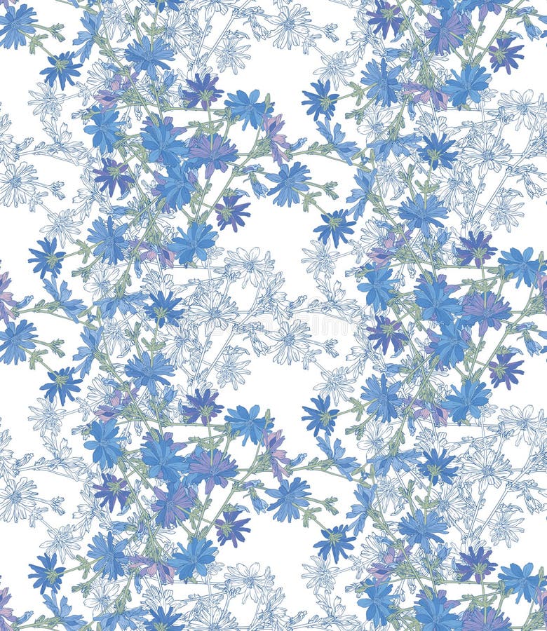 Sömlös modell med cikorien Rund kalejdoskop av blommor och blom- beståndsdelar arkivfoto Sömlös modell med cikorien Rund kalejdoskop av blommor och blom- beståndsdelar arkivfoto