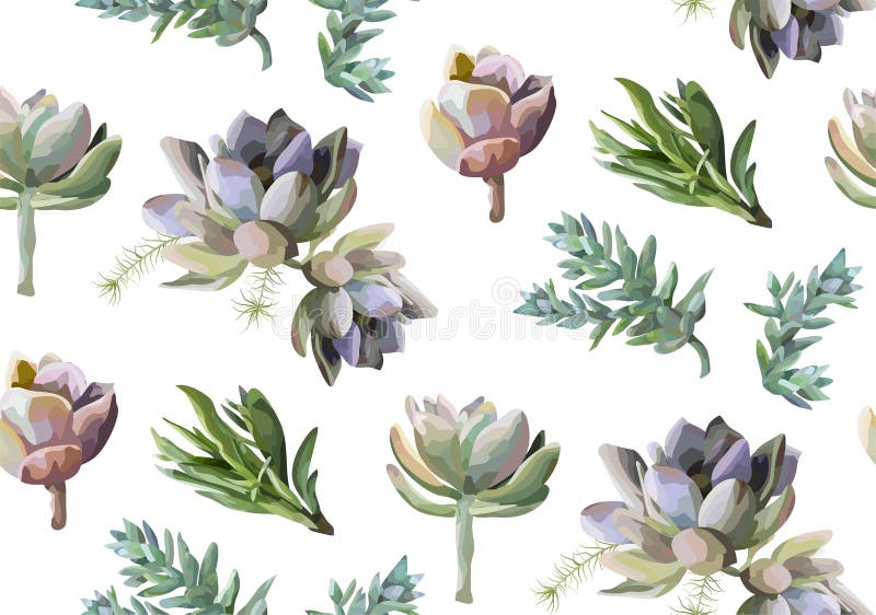 Sömlös modell: Suckulent blommaväxtvattenfärg hand dragit b vektor illustrationer