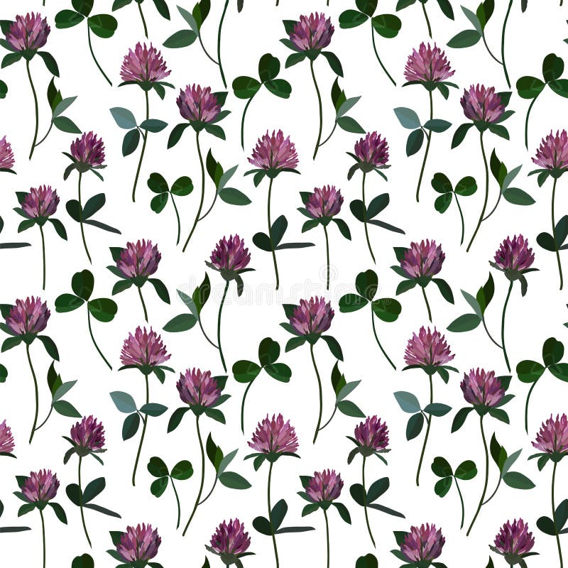 Sömlös modellväxt av släktet Trifolium royaltyfri illustrationer Sömlös modellväxt av släktet Trifolium royaltyfri illustrationer