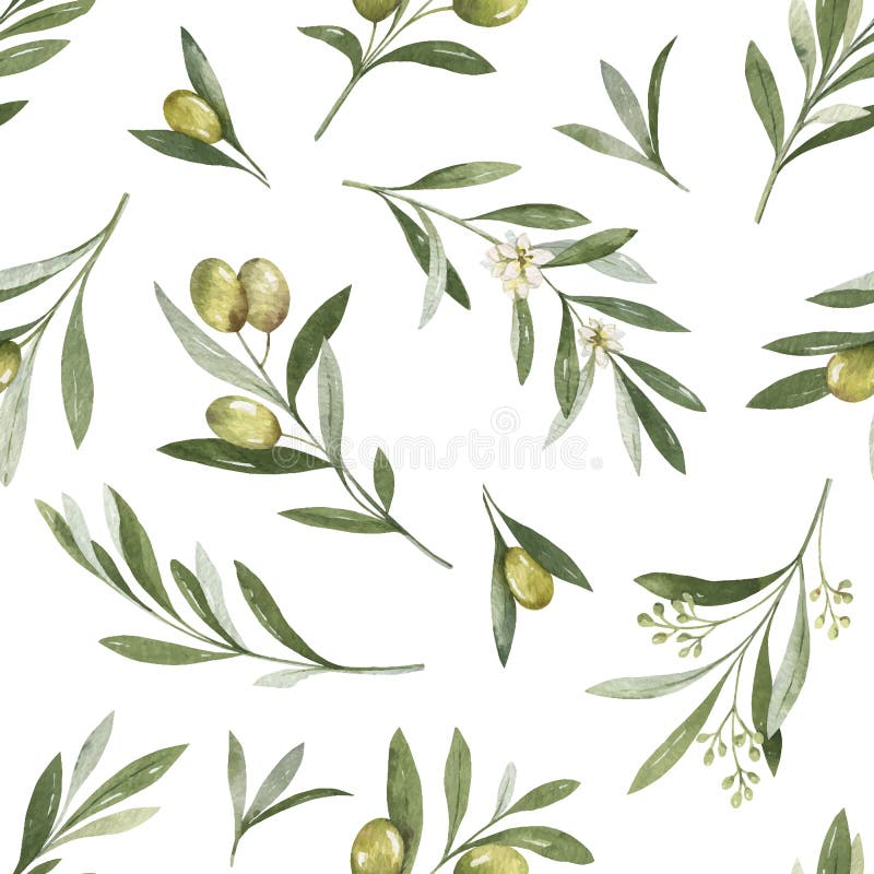Sömlöst mönster av olivgrenar och blad i vattenfärgsvektor vektor illustrationer