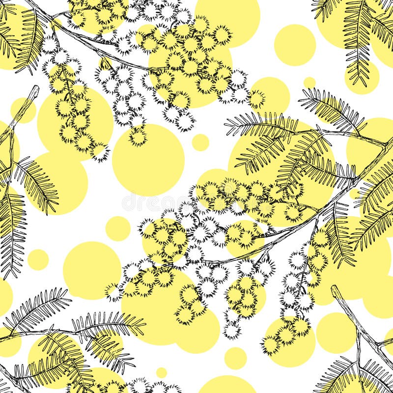 Sömlöst mönster med handritad blomning mimosa eller silverblommor royaltyfri illustrationer
