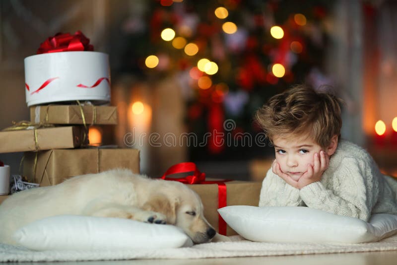Söt barn med vit golden labrador mot bakgrund av julprydnader royaltyfri fotografi