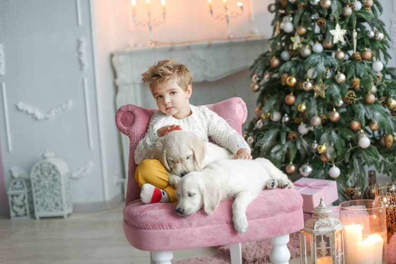 Söt barn med vit golden labrador mot bakgrund av julprydnader royaltyfri bild