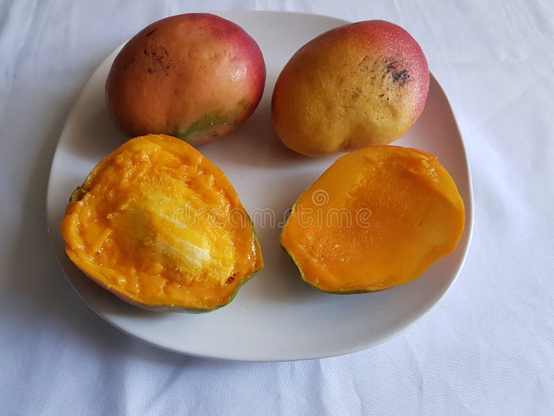 Söt frukt för mango med det kluvna benet i halva och hela handtag. Sund och vegetarisk mat, jordbruk och skörd, nytt mål med rå och mogen frukt för vitaminer som, är klar att äta