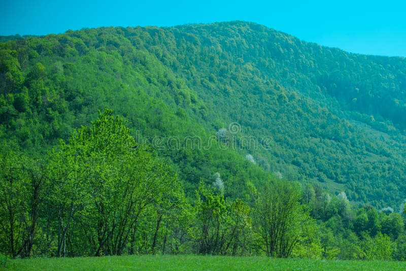 Söt landskapsturism royaltyfri fotografi