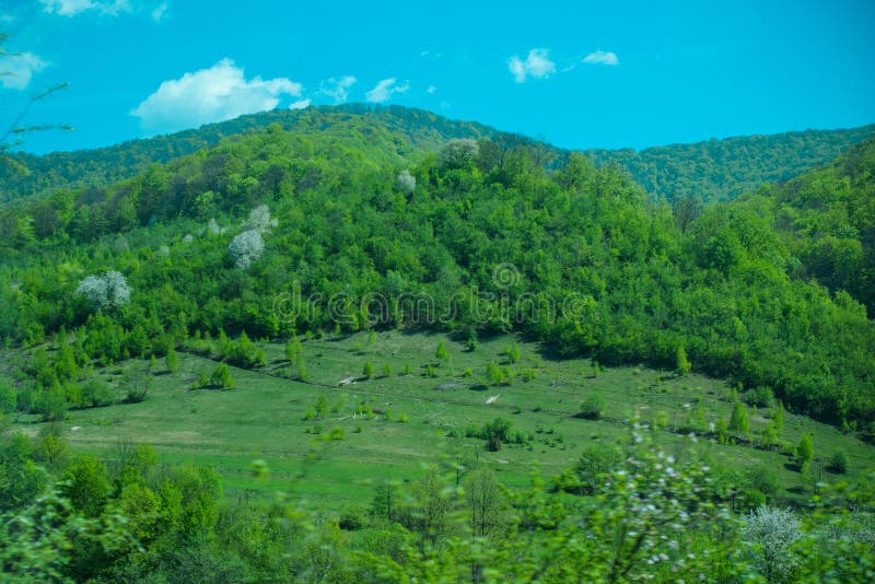 Söt landskapsturism royaltyfri foto