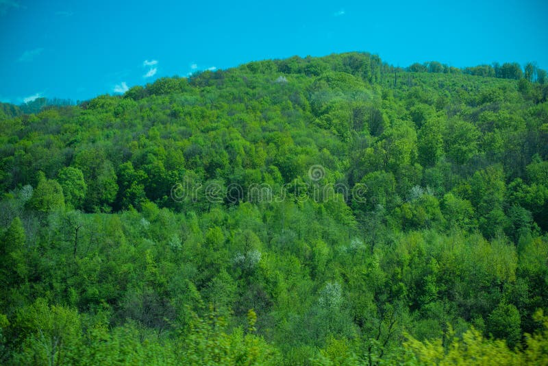 Söt landskapsturism royaltyfri foto