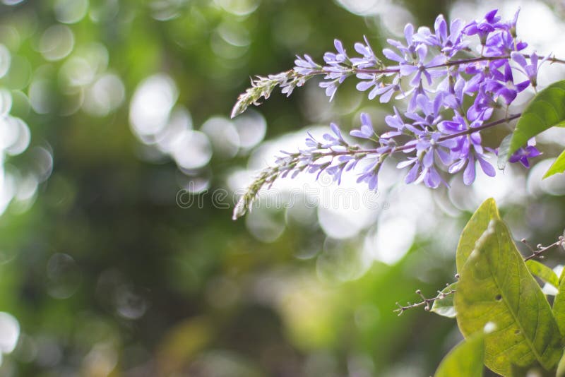Söt liten röd och grön blomma mitt i skogen