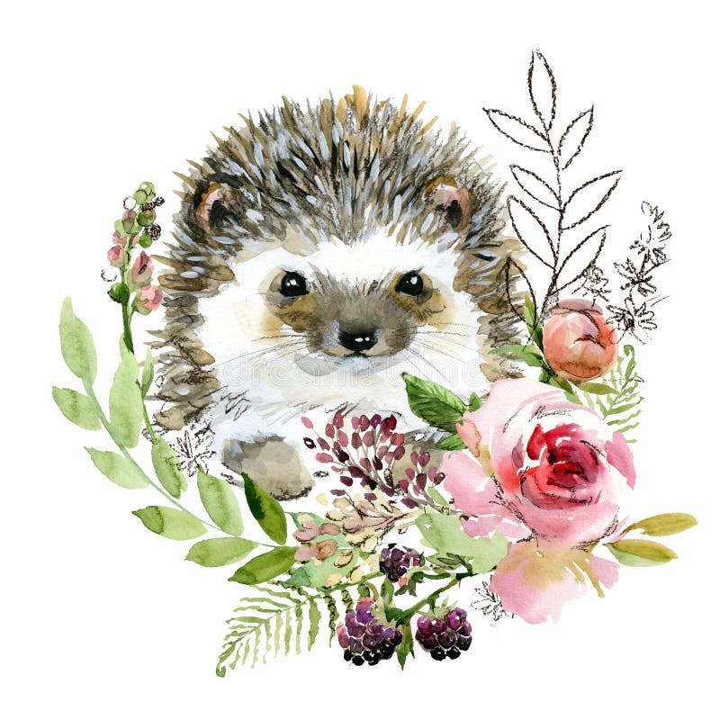 Söt vattenfärgad tecknad hedgehog. illustration av skogsdjur.