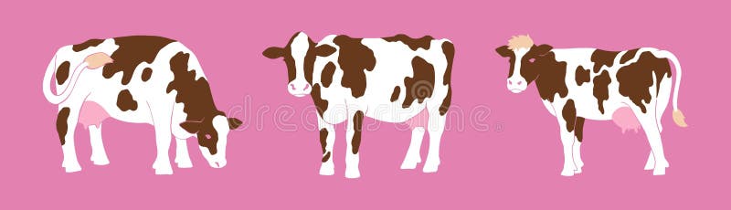 Süße Kuh. Milchkuhmilch-Doodle-Kalbfleisch. Happy Farb Head Landwirtschaft Handgezeichnete lizenzfreie abbildung