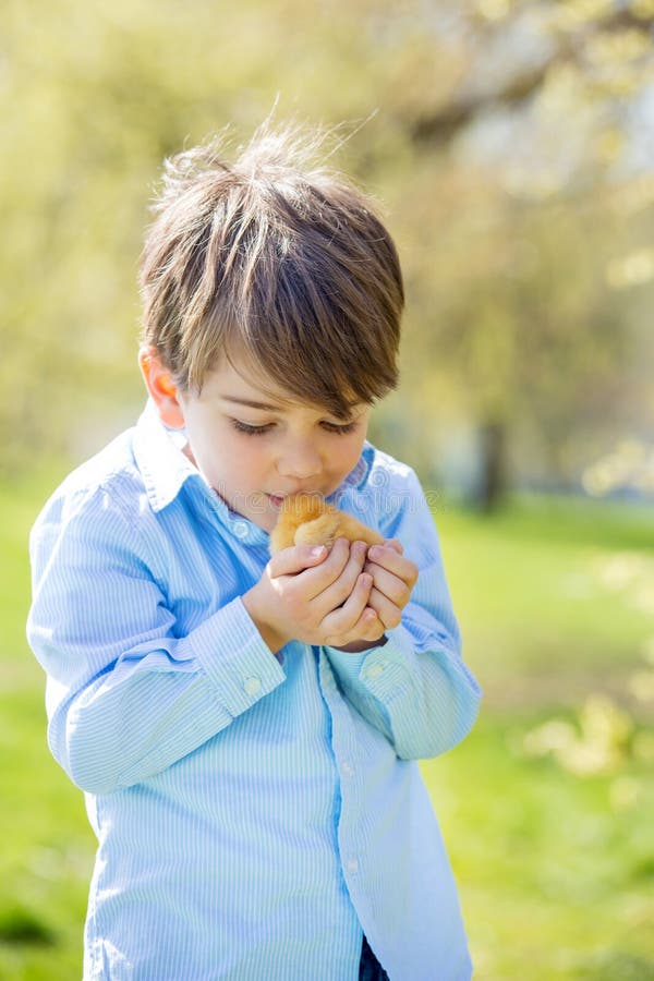 Süßes nettes Kind, Vorschuljunge, spielend mit wenigem neugeborenem Chi lizenzfreie stockfotos Süßes nettes Kind, Vorschuljunge, spielend mit wenigem neugeborenem Chi lizenzfreie stockfotos