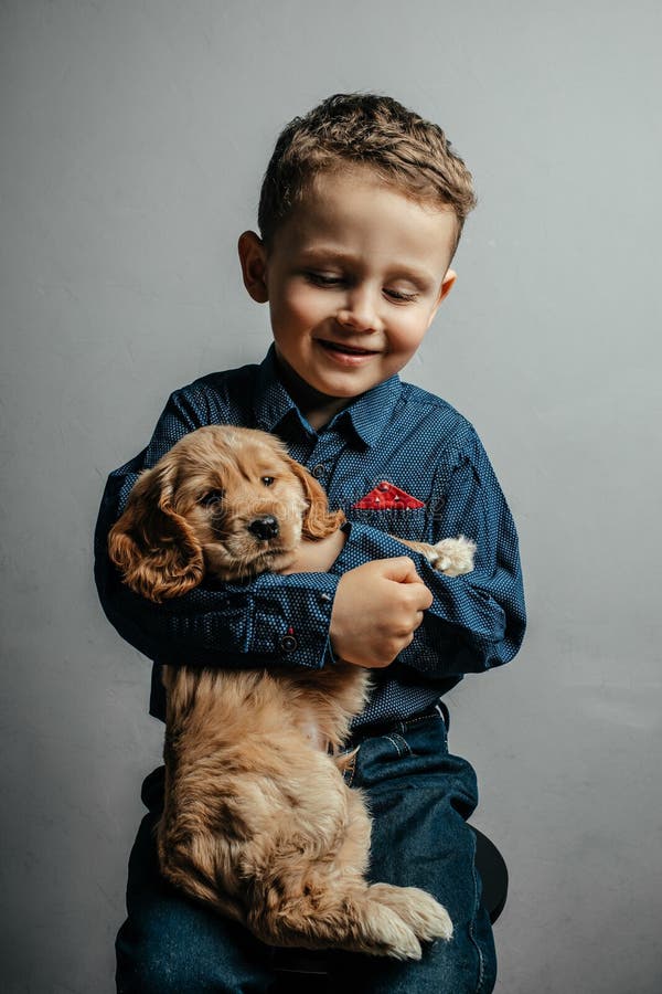 Słodcy przyjaciele kochający pies piesek angielski cocker spaniel z chłopcem. dziecko w koszuli z zabawnym białym psem w rękach obraz royalty free
