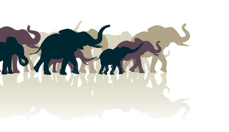 Editable vector illustration of an elephant herd with reflections. Editable vector illustration of an elephant herd with reflections