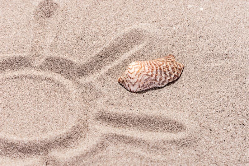 Słońce rysujący w piasku, z seashells na plaży