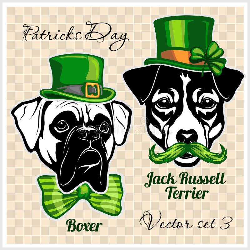 Boxeur - Jetant Un Coup Du0027oeil Des Chiens - - Tête De Visage De