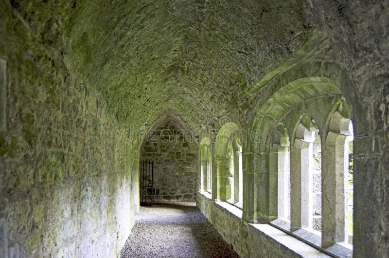 Casa Abandonada Assustadora Com Luz Nas Janelas Janelas Escuras Vazias  imagem vetorial de yadviga© 386936370