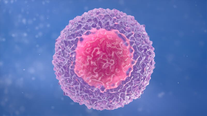 T-Cell lymfocyt vector illustratie T-Cell lymfocyt vector illustratie