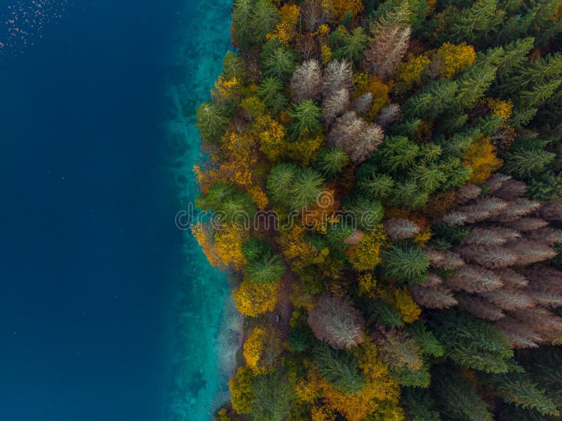 For?t color?e par le c?t? de lac, a?rien d'en haut photos libres de droits For?t color?e par le c?t? de lac, a?rien d'en haut photos libres de droits