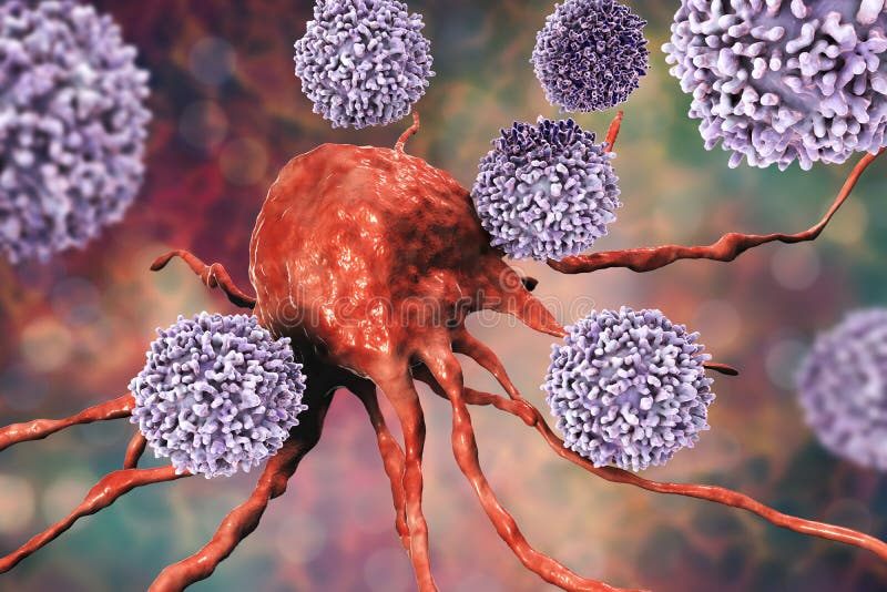 T-lymphocytes som anfaller cancercellen