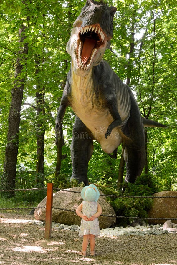 T-Rex dinosaur royalty free stock image T-Rex dinosaur royalty free stock image