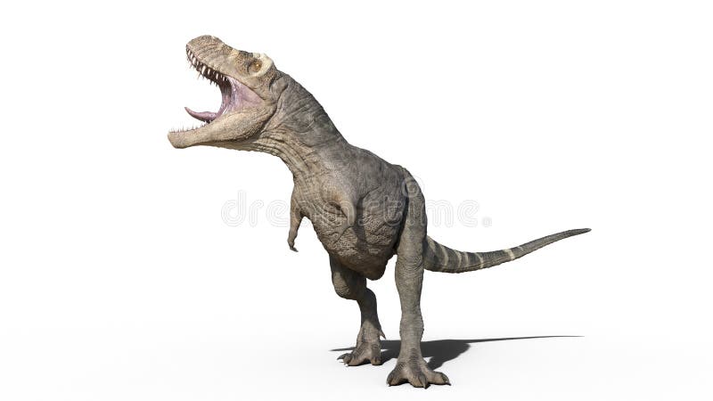 T-Rex Dinosaur, Tyrannosaurus Rex Reptile Running, Prehistoric Jurassic  Animal Isolated on White Background, 3D Rendering Stock Illustration -  Illustration of ancient, dinosaurus: 143823981