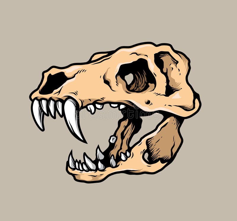 T Rex Skull Illustration Vector. 