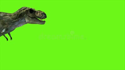 animate a running dinosaur Tyrannosaurus, Stock Video