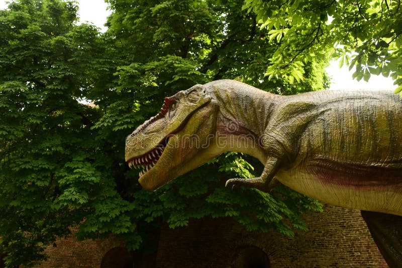 T-rex в джунглях стоковое фото rf T-rex в джунглях стоковое фото rf