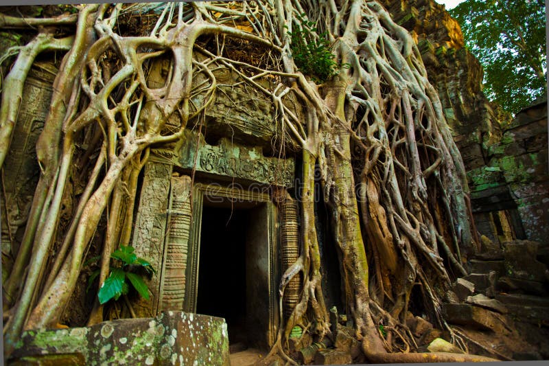 Ta Phrom Doorway