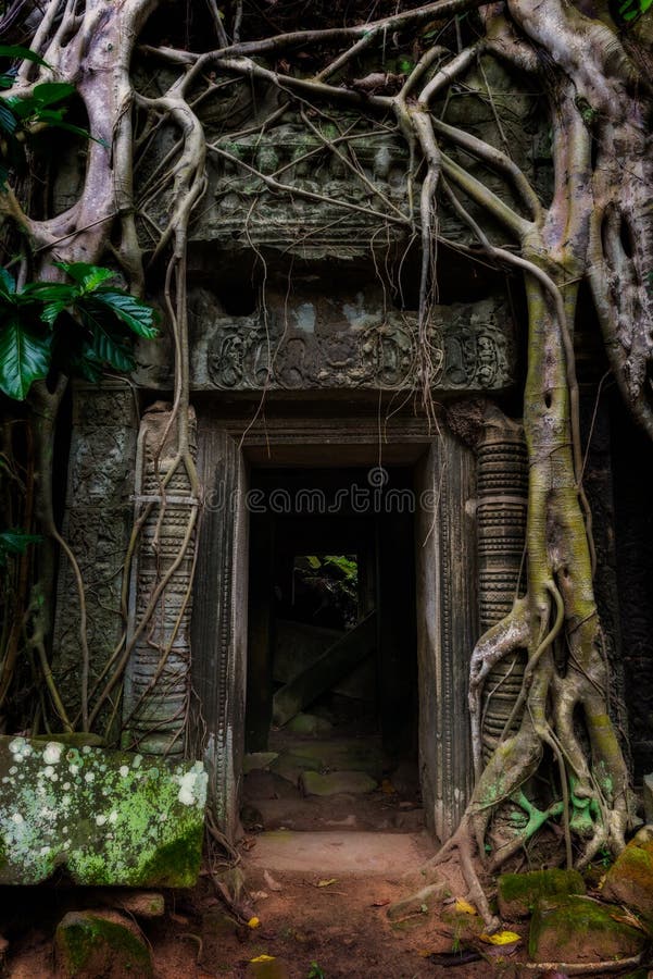 Ta Prohm