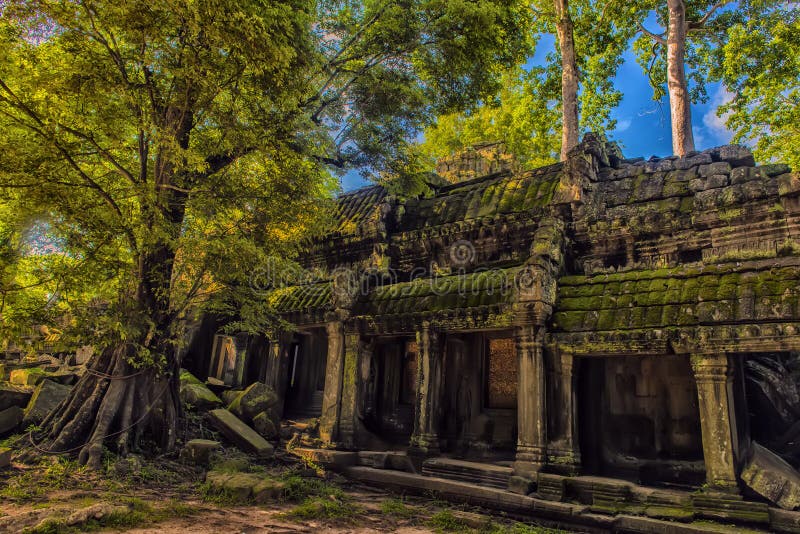 Ta Prohm, part of Khmer temple complex, Asia. Siem Reap, Cambodia