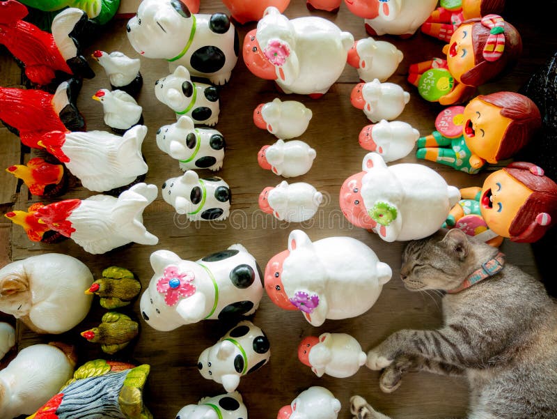 Tabby Cat Sleeping in the Pet Dolls Stock Photo Image of alert