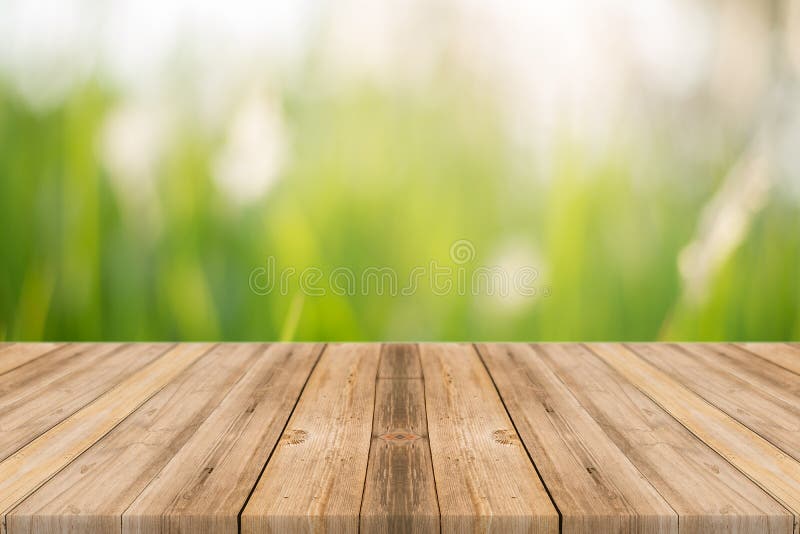 Tabellenunschärfebäume des hölzernen Brettes leere im Waldhintergrund