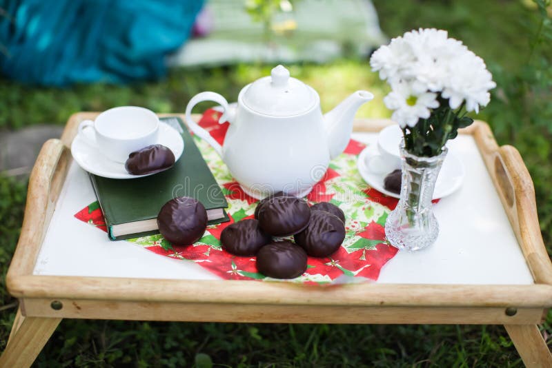 Tabelluppsättningen för eftermiddagte i en sommarträdgård - vit te-saker, bok, marshmallower, blommor i en vas arkivbild Tabelluppsättningen för eftermiddagte i en sommarträdgård - vit te-saker, bok, marshmallower, blommor i en vas arkivbild