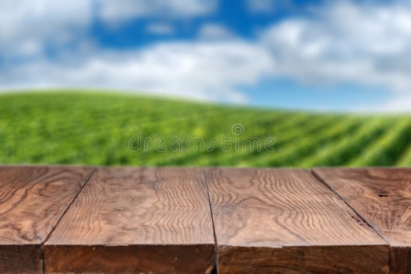 Tabla de madera vacía con paisaje del viñedo imagenes de archivo Tabla de madera vacía con paisaje del viñedo imagenes de archivo