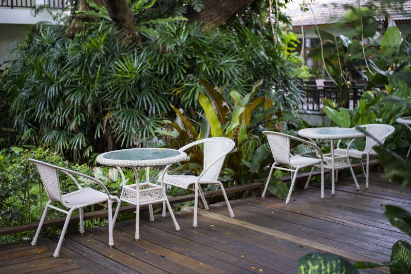 Jardín Tropical Casero Con El Sistema De Mimbre De La Tabla Foto de