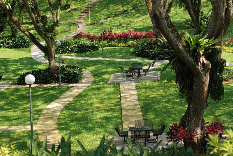 Table, chairs, and plants