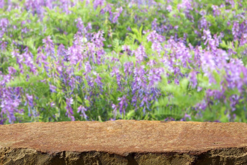 Table en pierre vide sur un fond des fleurs lilas image libre de droits Table en pierre vide sur un fond des fleurs lilas image libre de droits