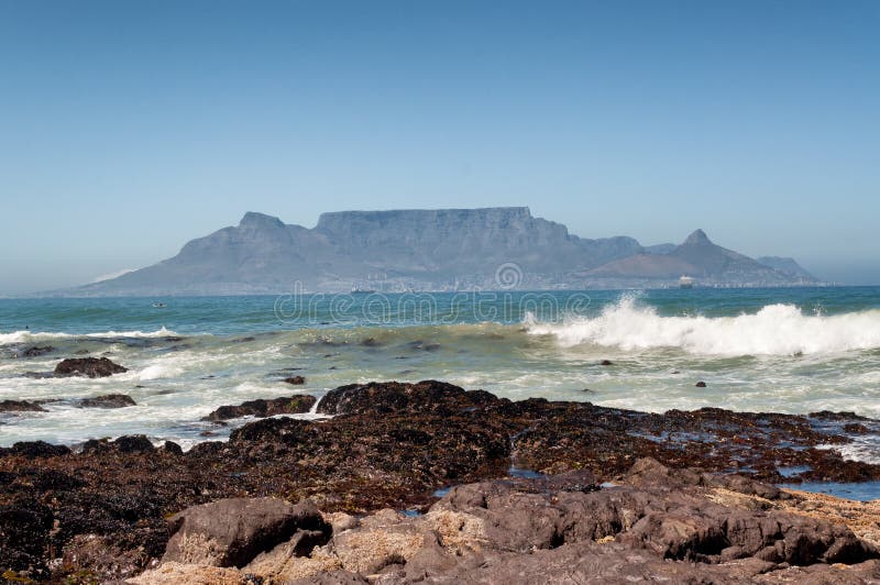 Table mountain spring stock image. Image of cape, town - 3240173