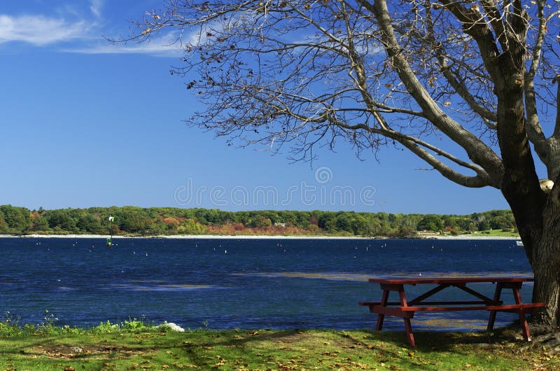 Table Beside the Ocean