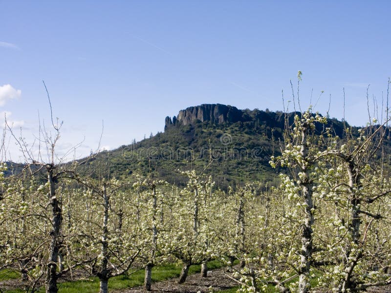 Table Rock, Medford, Oregon Stock Photo Image of table, orchards 691074