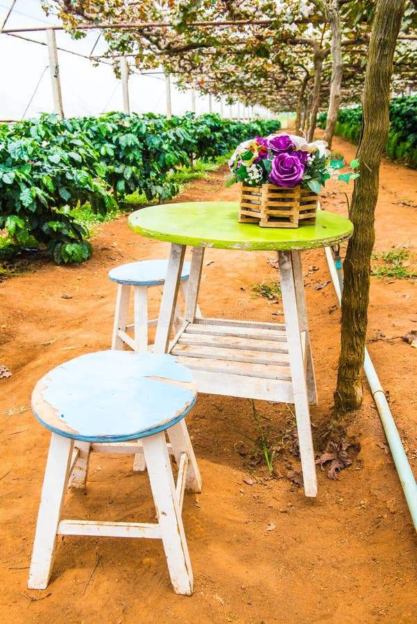 Table Set in the Grape Garden Stock Image Image of colour, relaxation