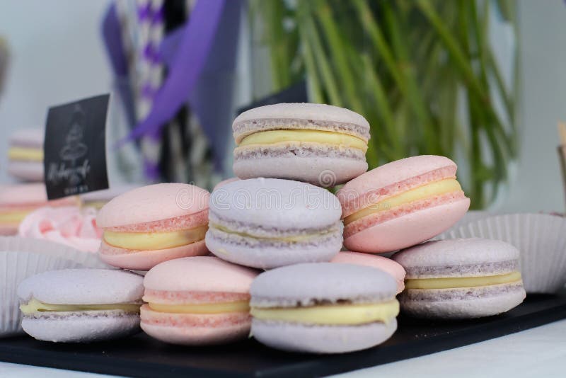 Table with Sweets, Cakes, Candies, Desserts and Marshmallow. Candy Bar