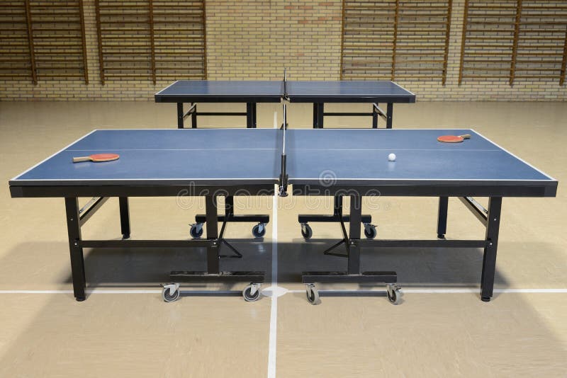 Table Tennis in the Sports Hall Stock Photo Image of inside