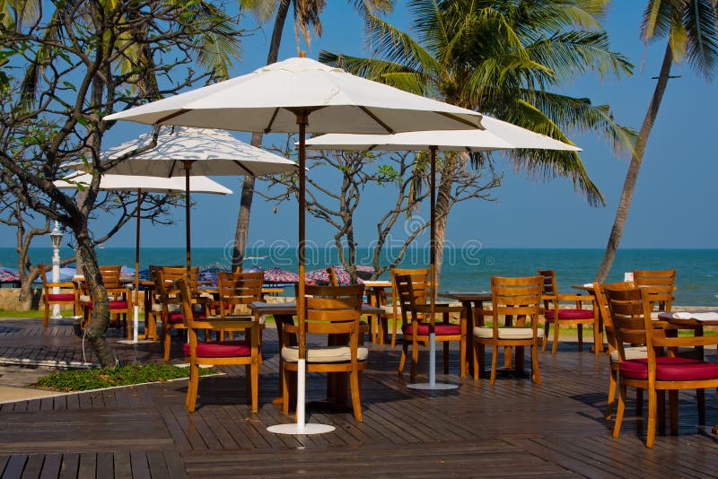 Romantic Beach Dinner stock photo. Image of palms, beach 8724000