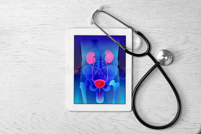 Tablet displaying urinary system and stethoscope