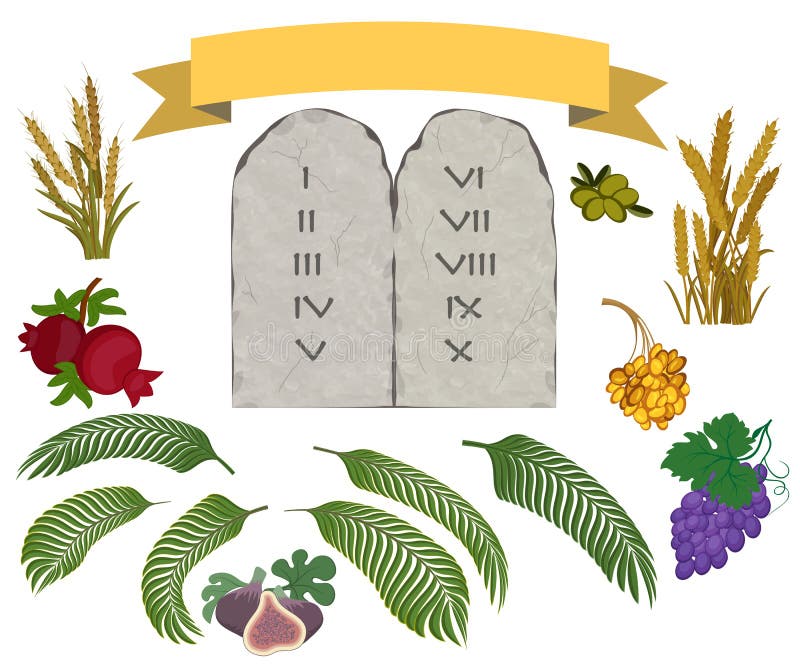 Tablettes de la pierre et de sept espèces réglées illustration de vecteur Tablettes de la pierre et de sept espèces réglées illustration de vecteur