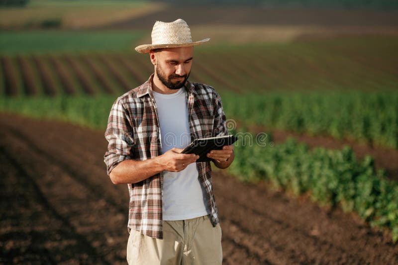Tabletă digitală în mâini. Fermierul este pe terenul agricol stock images